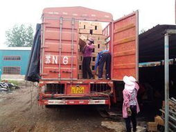 供應(yīng)順風(fēng)無煙木炭與機(jī)制木炭廠尋源指南